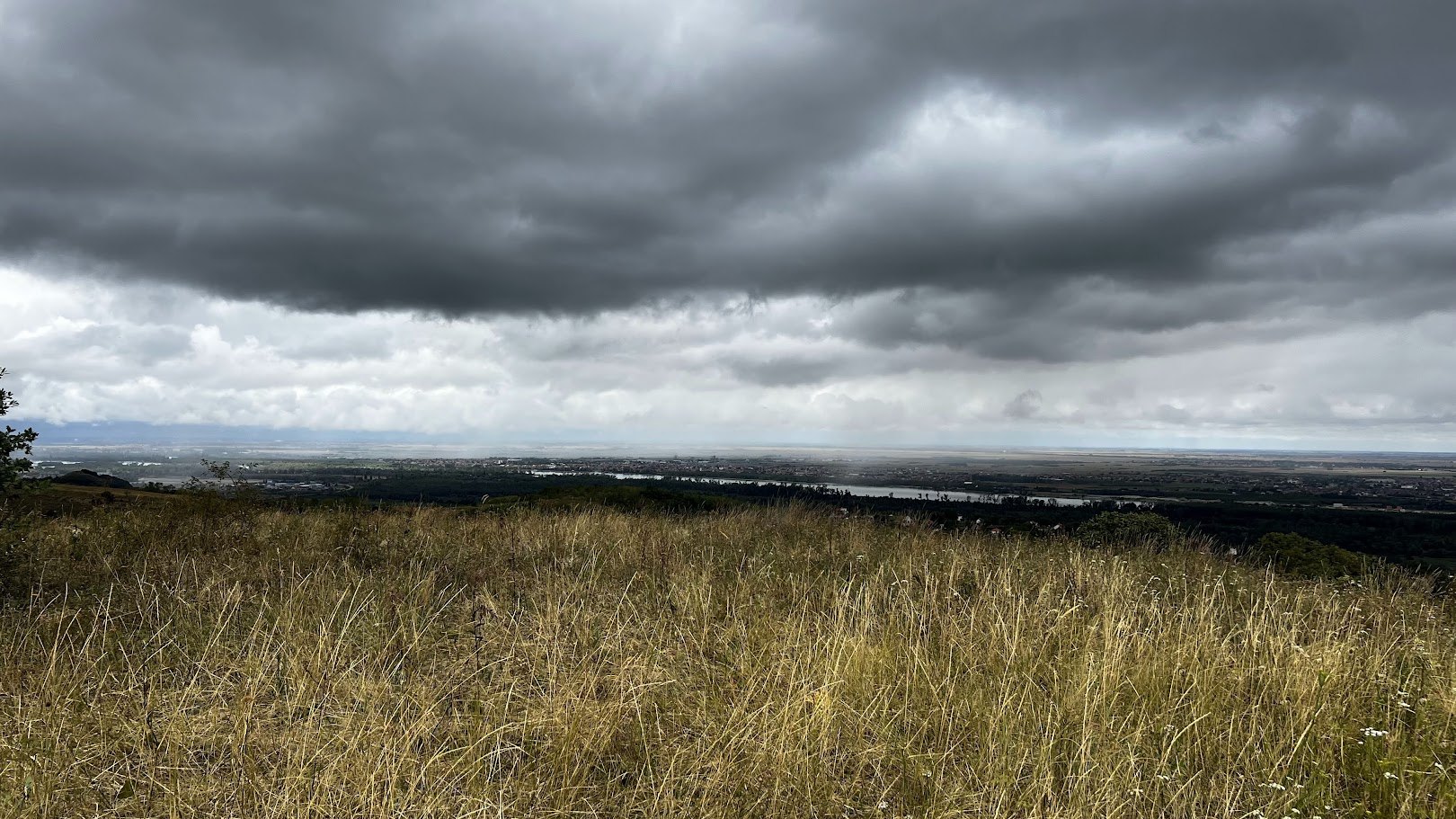 Trockenes Gras und schwerer Himmel über dem Donautal