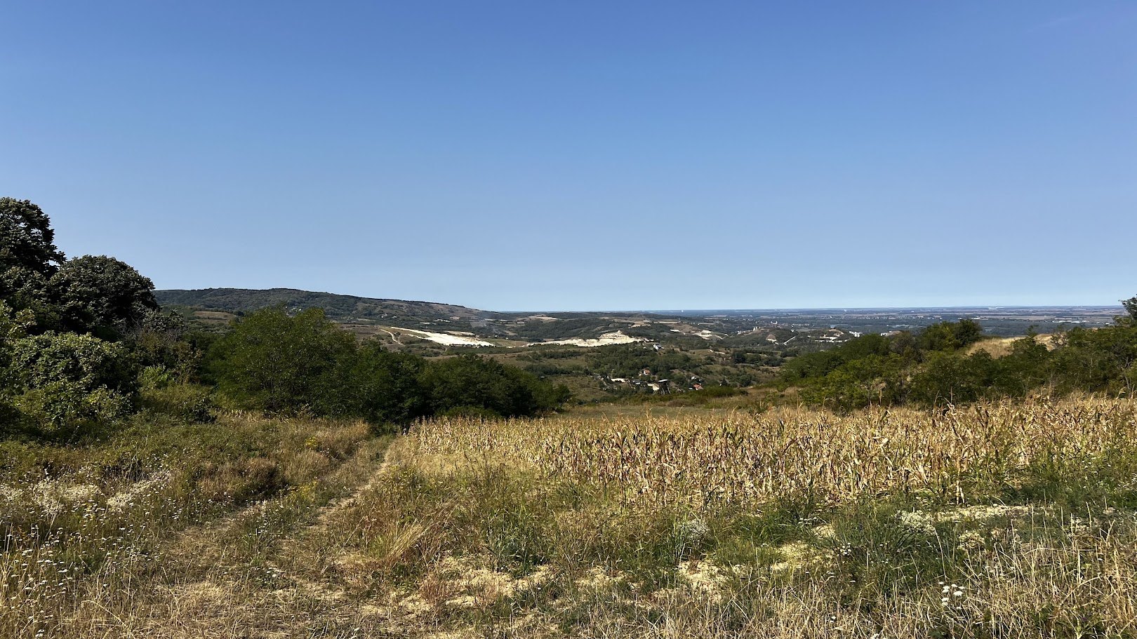 Sommerblick von den Hügeln über Rakovac: ein Maisfeld, weiße Steinbruchkanten und die Donauebene