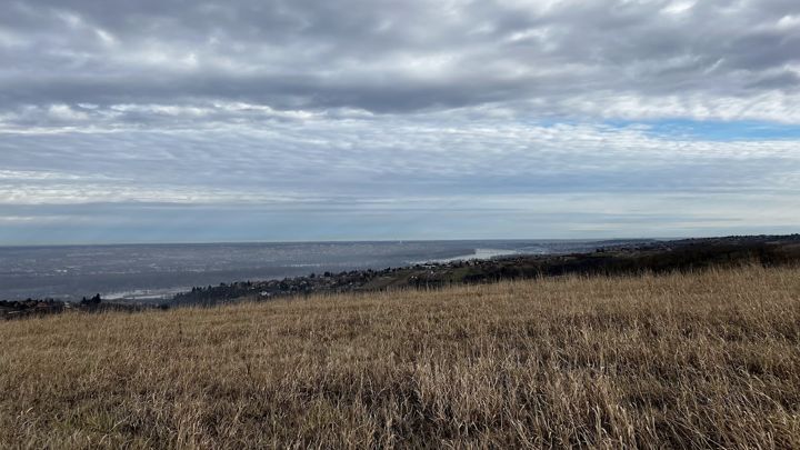 Blick von der Wiese im Spätherbst: die Donauschleife und Novi Sad