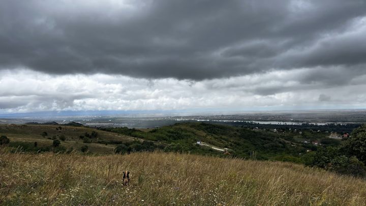 Regen zieht über die Donau; ein Hund im hohen Gras der Wiese