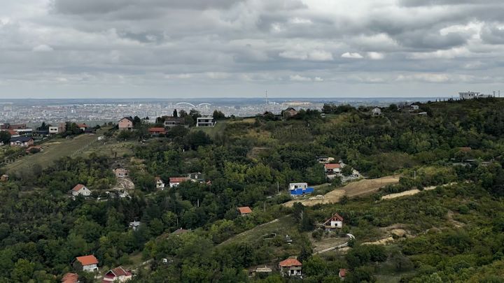 Häuser an den bewaldeten Hängen unter dem Aussichtspunkt, dahinter Novi Sad und die Bögen der Žeželj-Brücke