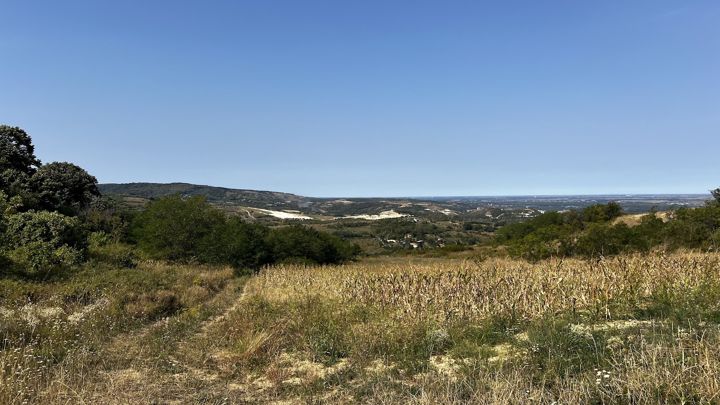 Sommerblick von den Hügeln über Rakovac: ein Maisfeld, weiße Steinbruchkanten und die Donauebene