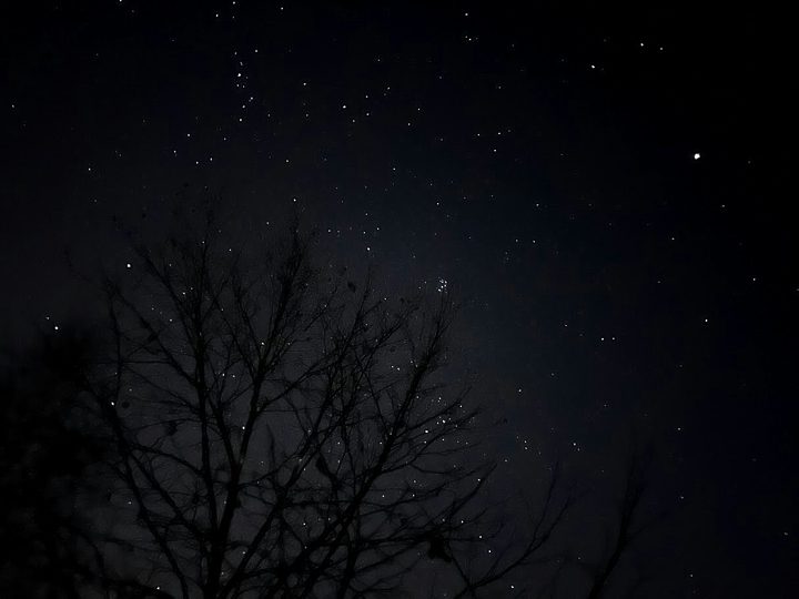 Sterne zwischen kahlen Ästen: eine klare Nacht in Rakovac