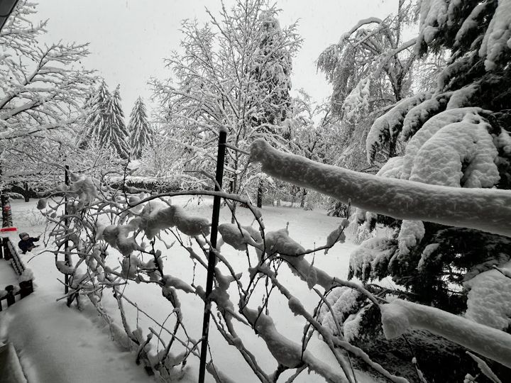 Tiefer Schnee in einem Garten in Rakovac