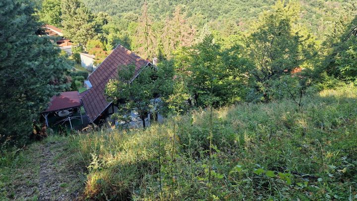 Ein Haus zwischen den Bäumen von Rakovac im Sommer