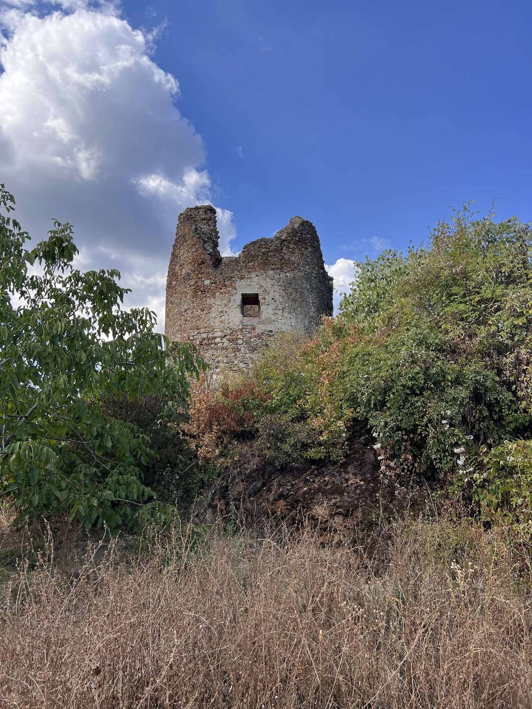 The rounded side of Vrdnik Tower above dry grass and shrubs